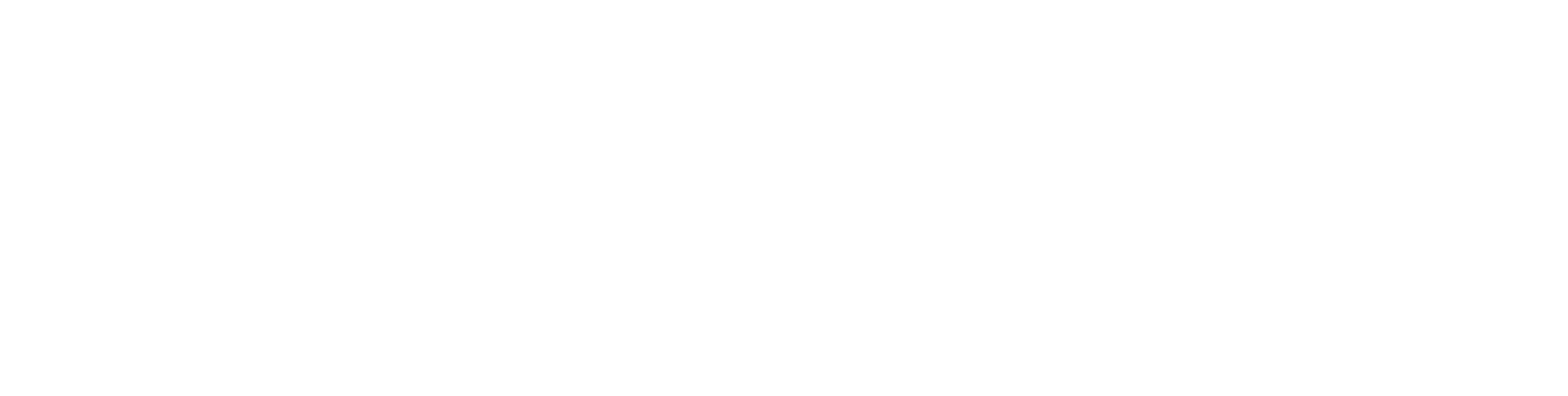 Prime Logo